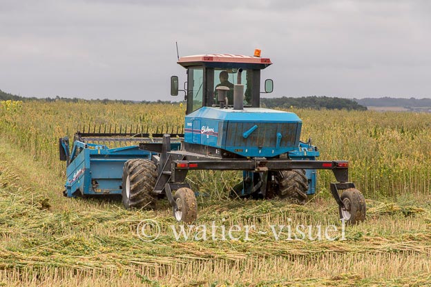 1193D301