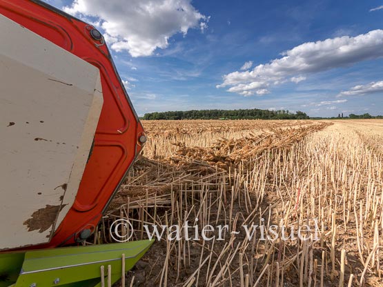 1193D381