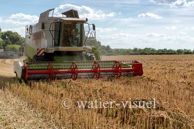 1193D393