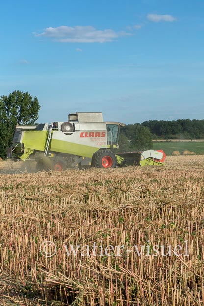 1193D409