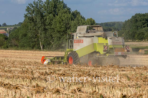 1193D448