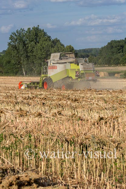 1193D449