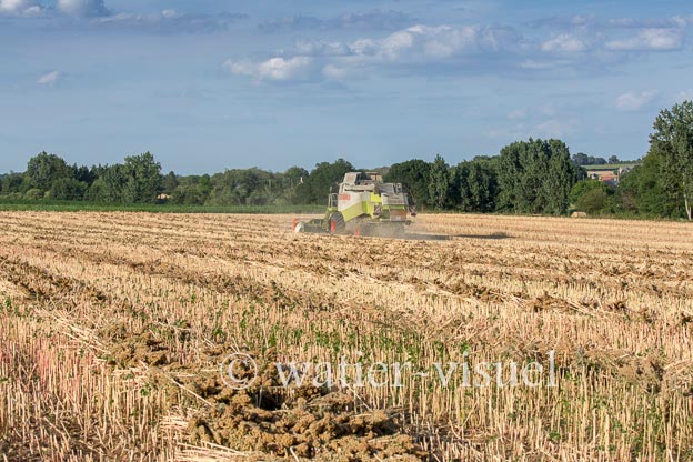 1193D450