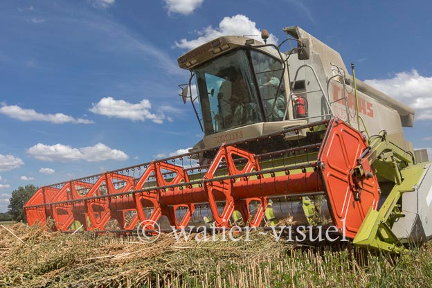 1193D471