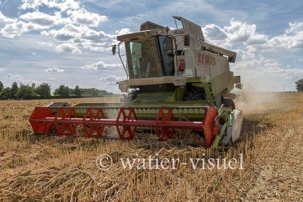1193D484