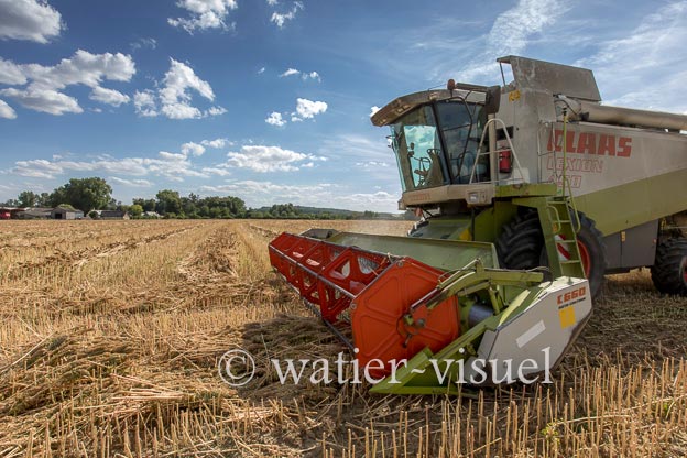 1193D485