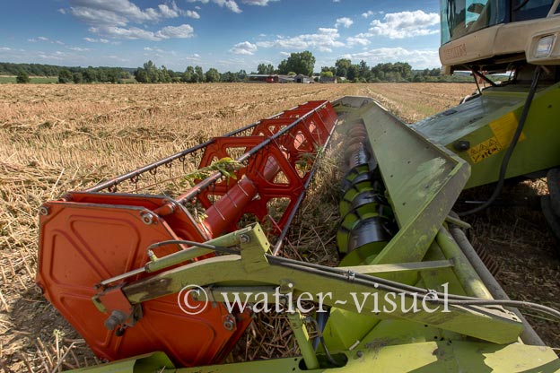 1193D493