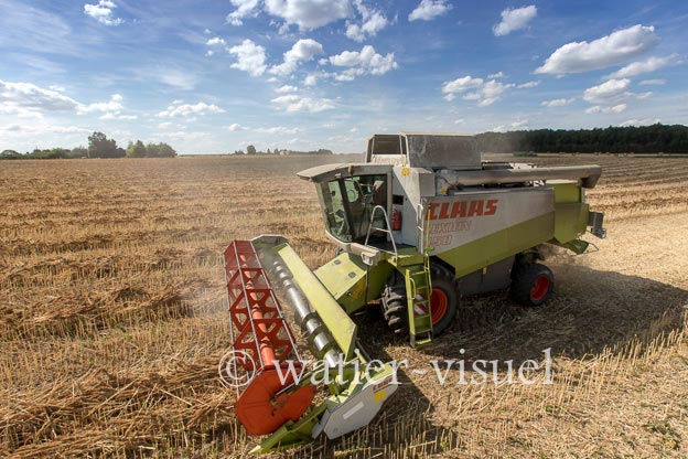 1193D506