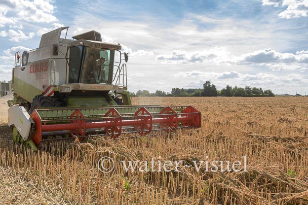 1193D508