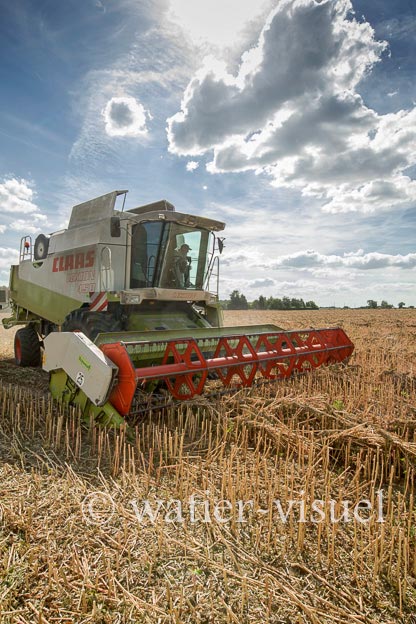 1193D509