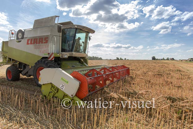 1193D510