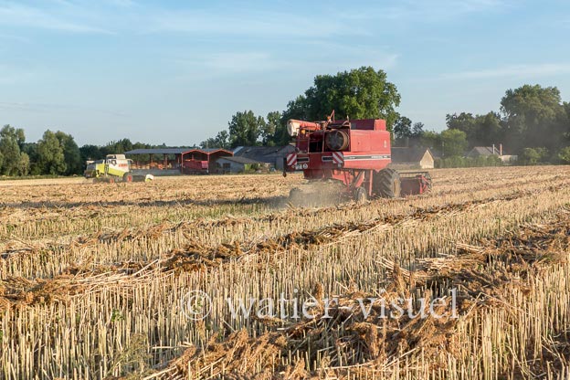 1193D530