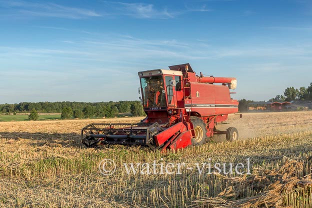 1193D538