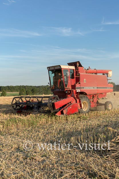 1193D539