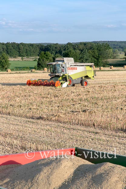1193D550