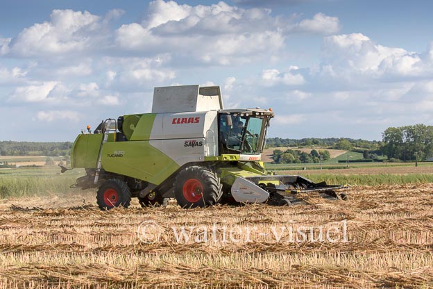 1194D092