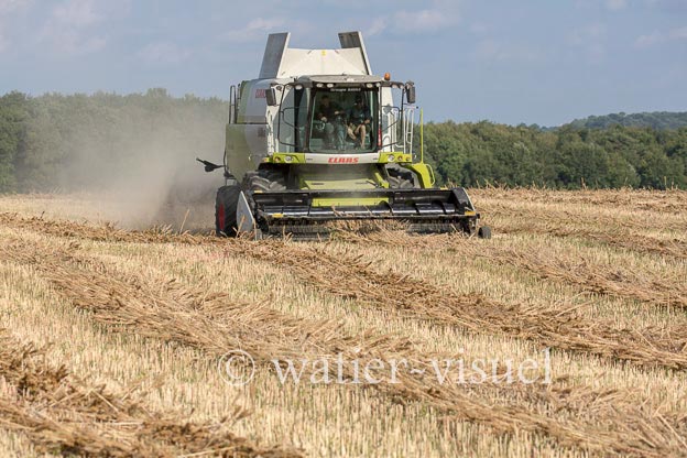1194D100
