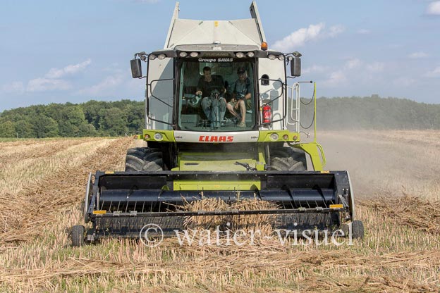 1194D105