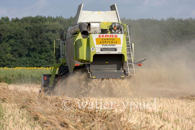1194D106