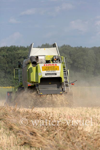 1194D107