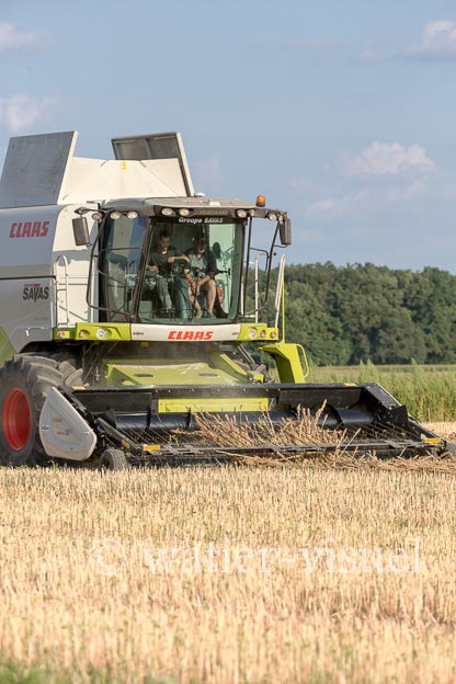 1194D108