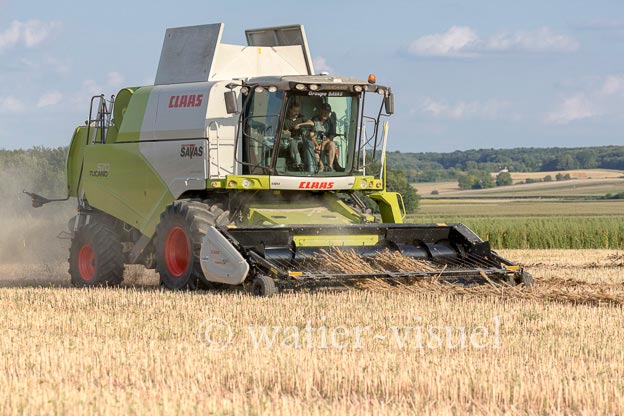 1194D109