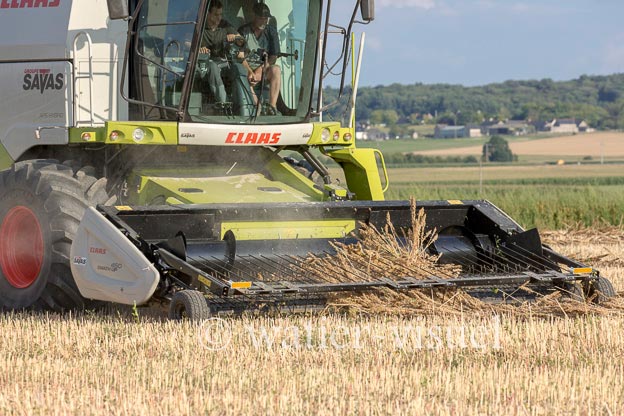 1194D110