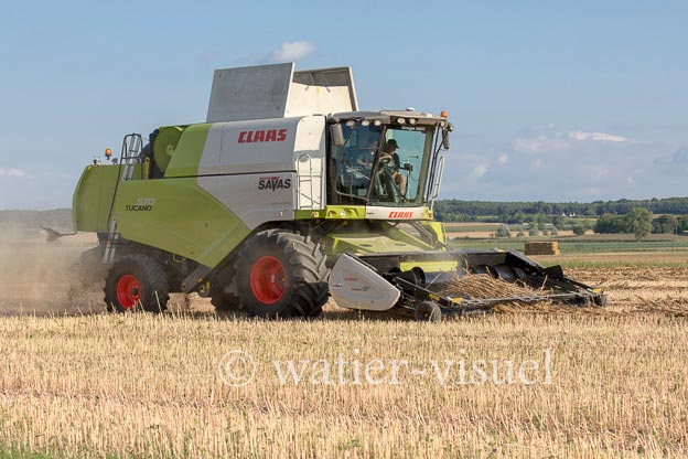 1194D112