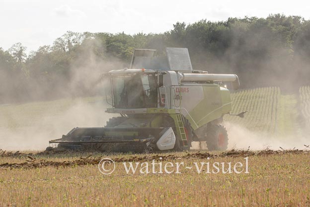 1194D114