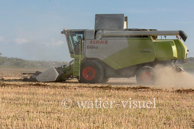 1194D117