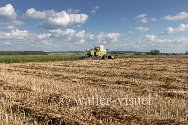 1194D120