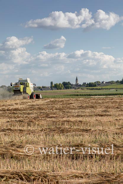 1194D123