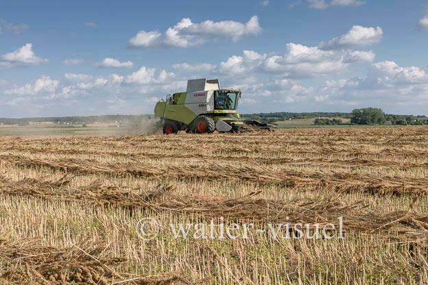 1194D130