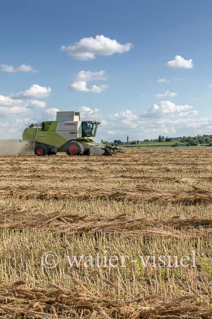 1194D133