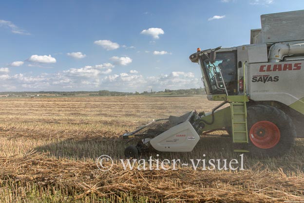 1194D139