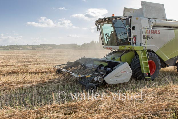 1194D140