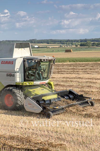 1194D154