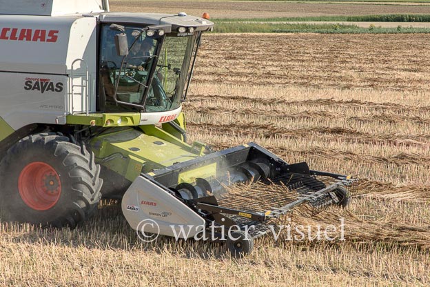 1194D155