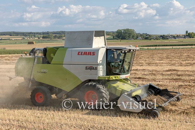 1194D156