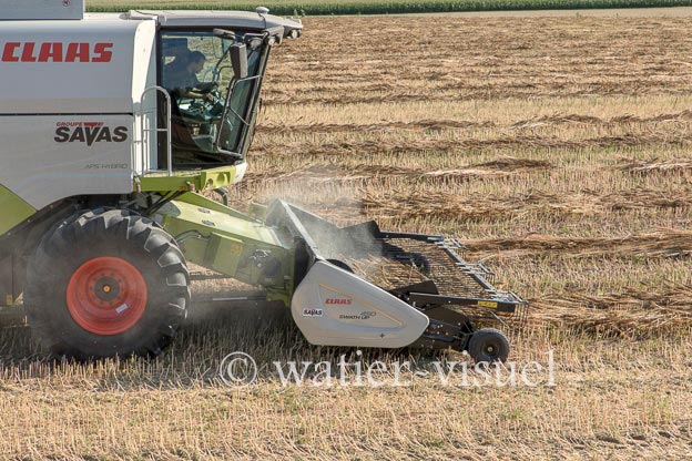 1194D158