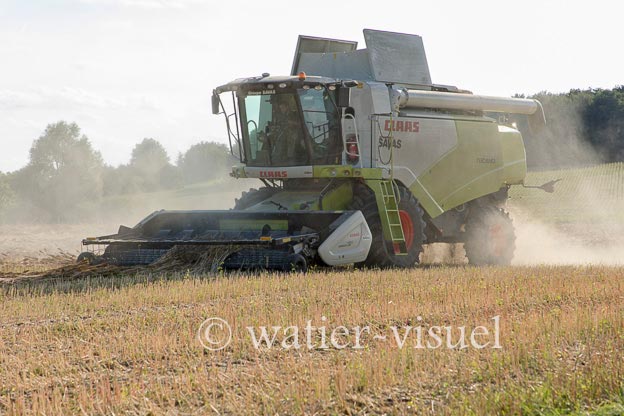 1194D171