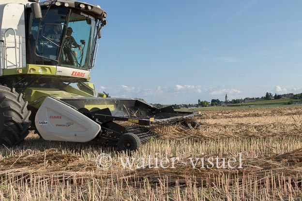 1194D178