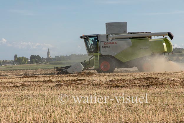 1194D180