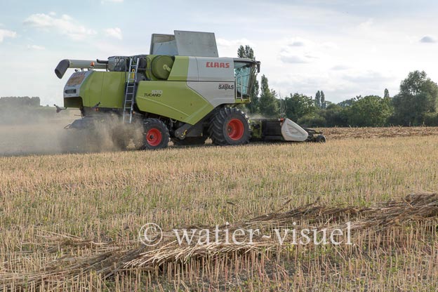 1194D183