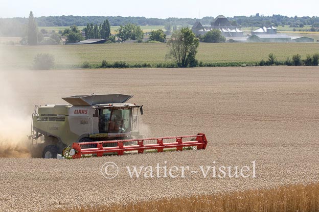 1192D724
