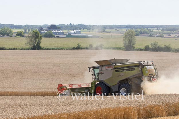 1192D731