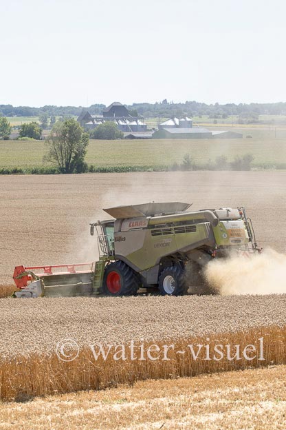 1192D732