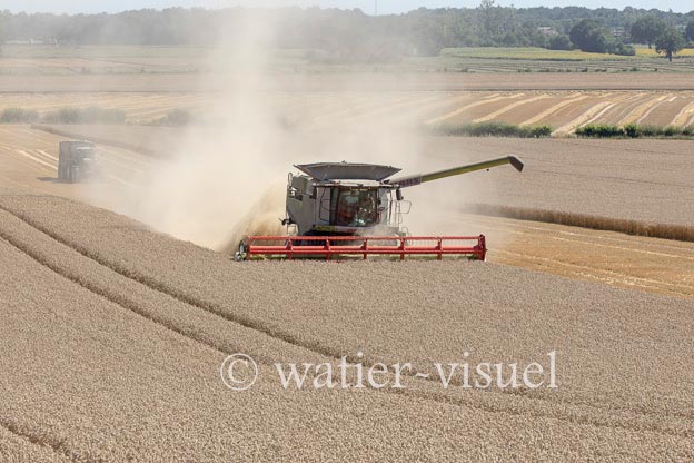1192D750