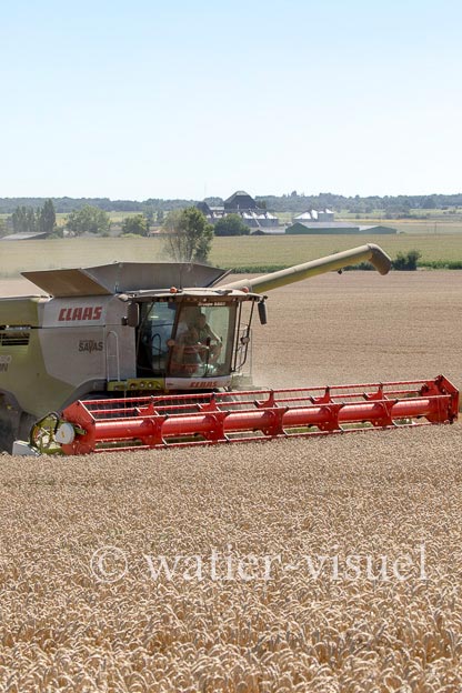 1192D754