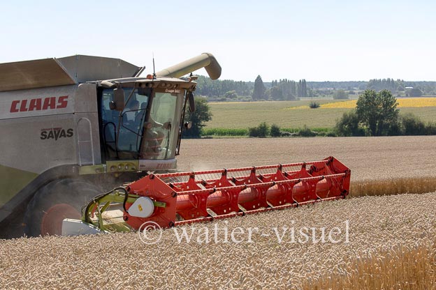 1192D757
